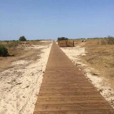 Ferienhaus Sandstrand